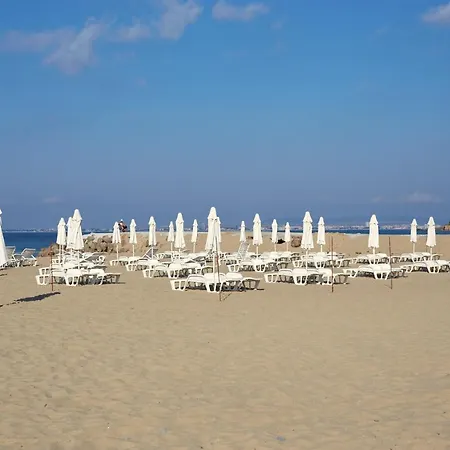 Hotel Amore Beach Hotel apartamentowy Elenite